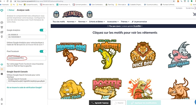 Capture-pixel-facebook2