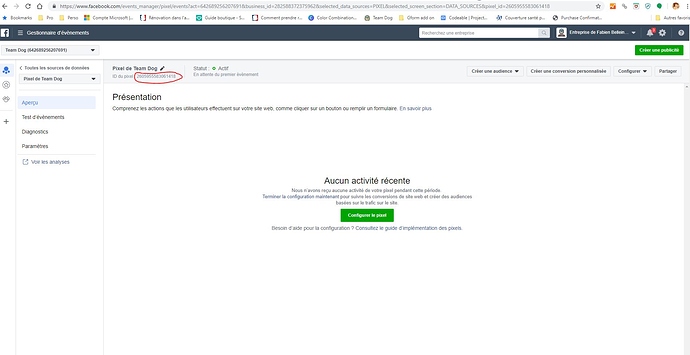 Capture-pixel-facebook