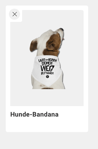 Bildschirmfoto 2020-04-27 um 13.13.16