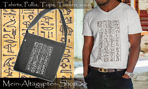 Anzeige-Banner-Hiero-Francis-Shirt